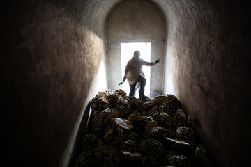 The Top Tequila Trends to Watch for in 2020