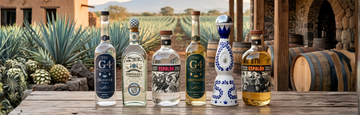 Blanco vs Reposado: Which Tequila Should You Buy?