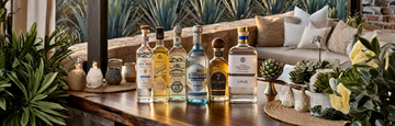 Blue Agave Tequila Guide