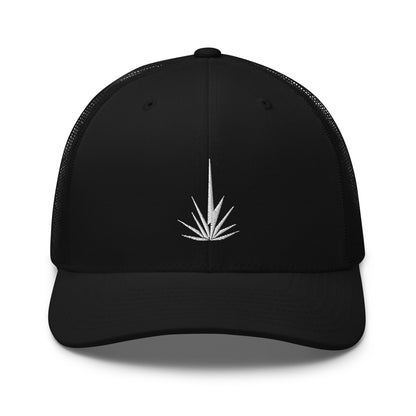 Dos Gabachos Agave Bolt Logo Snapback Hat